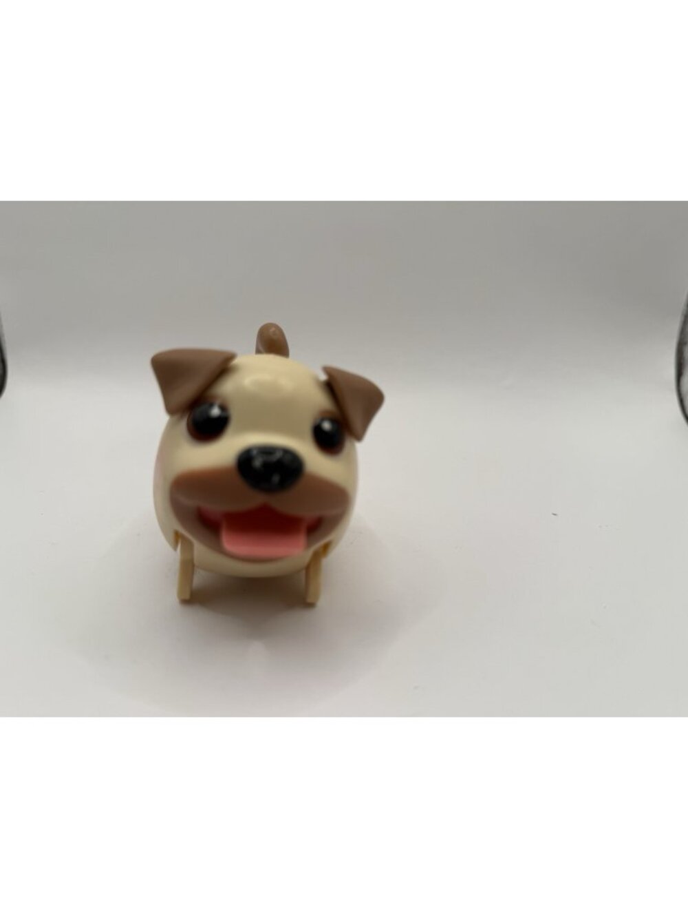 Chubby Puppies Jack Russell Terrier  Tan And White Works
